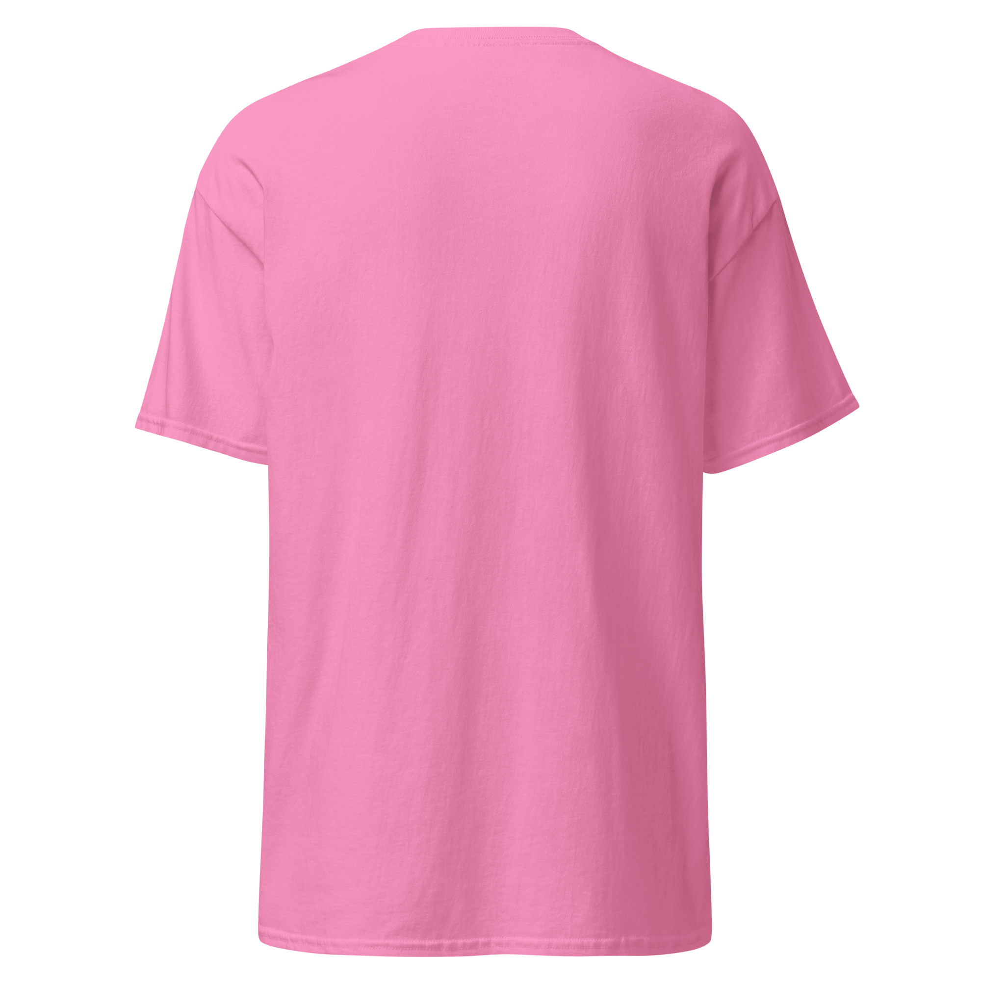 unisex-classic-tee-azalea-back-6ab3240dd53fb.png