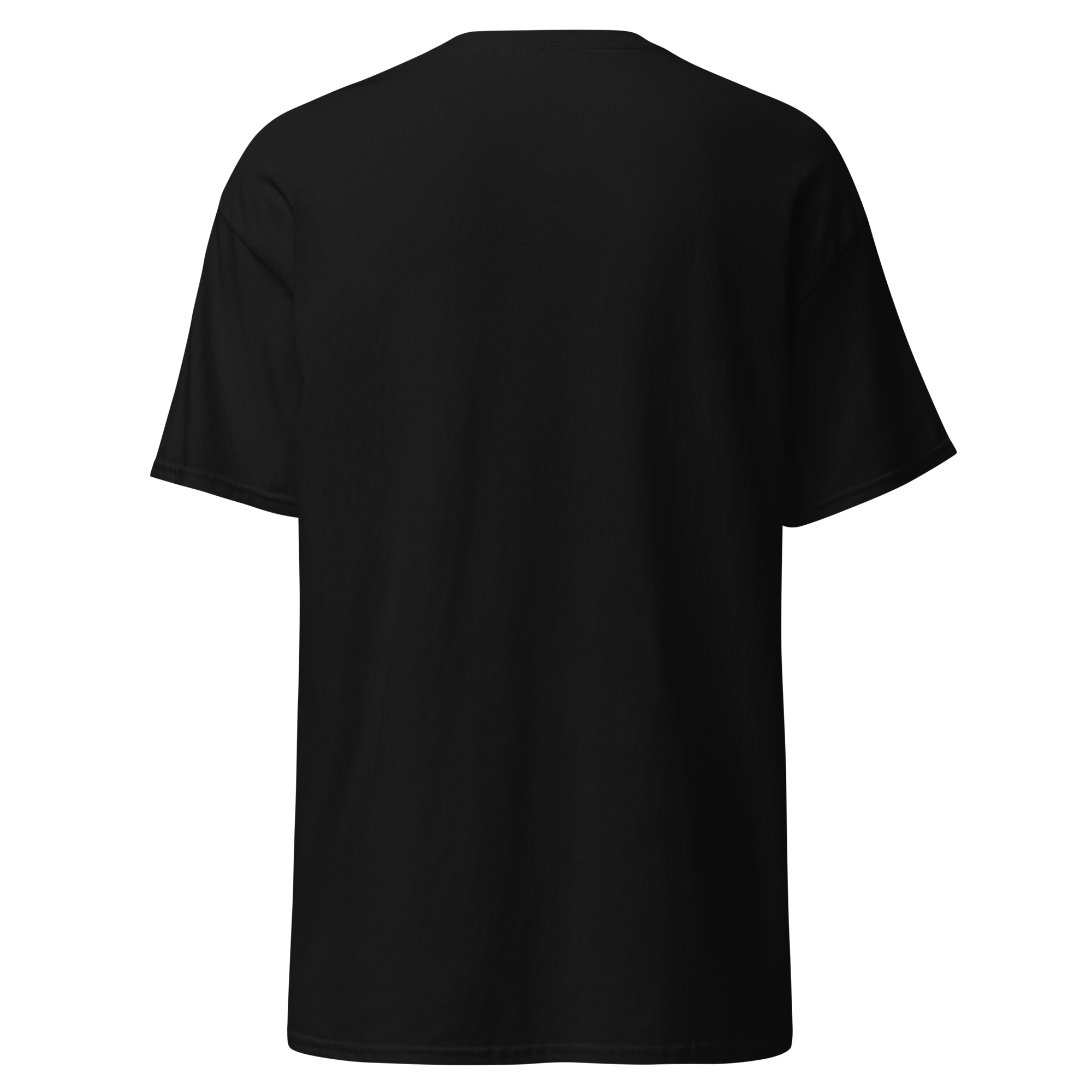 unisex-classic-tee-black-back-6ab32af81fd08.png