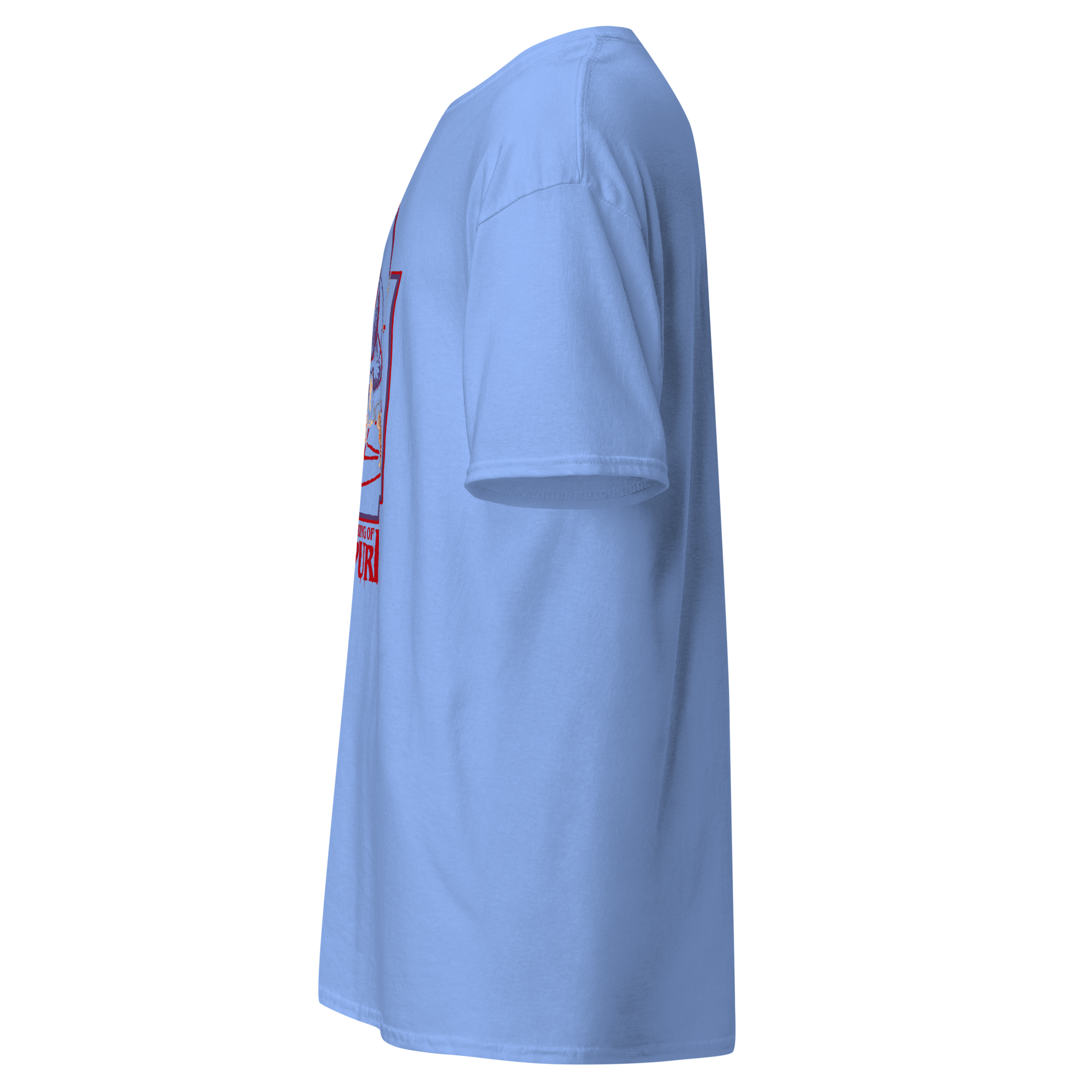 unisex-classic-tee-carolina-blue-left-6ab32e93338dc-1.png