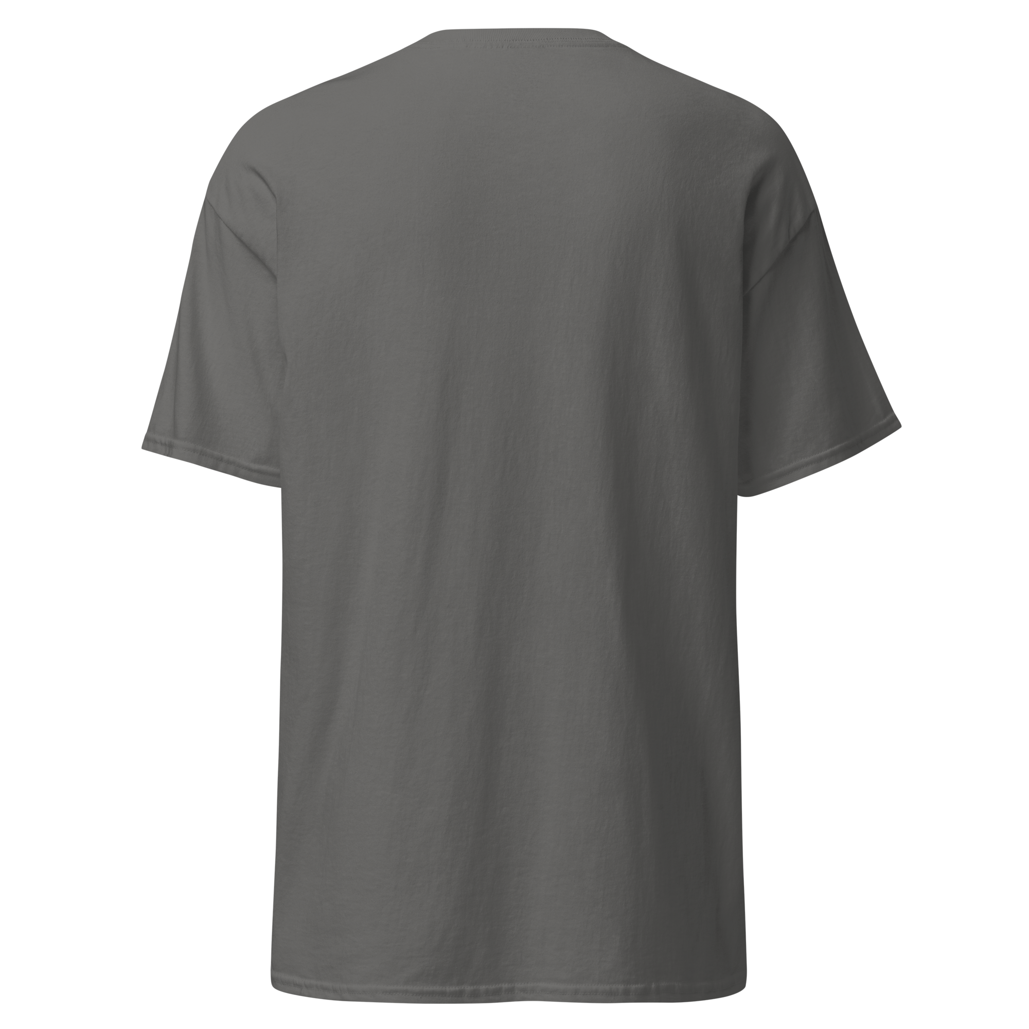 unisex-classic-tee-charcoal-back-6ab3d8cd9cd2f.png