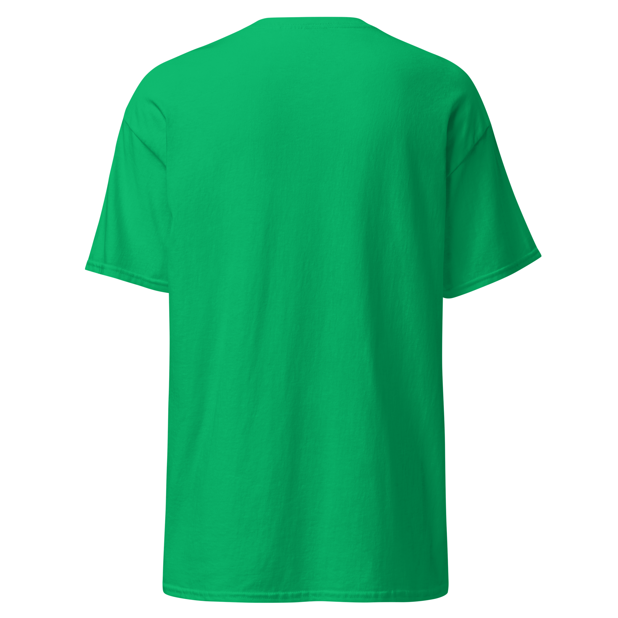 unisex-classic-tee-irish-green-back-6ab3256c34d21.png