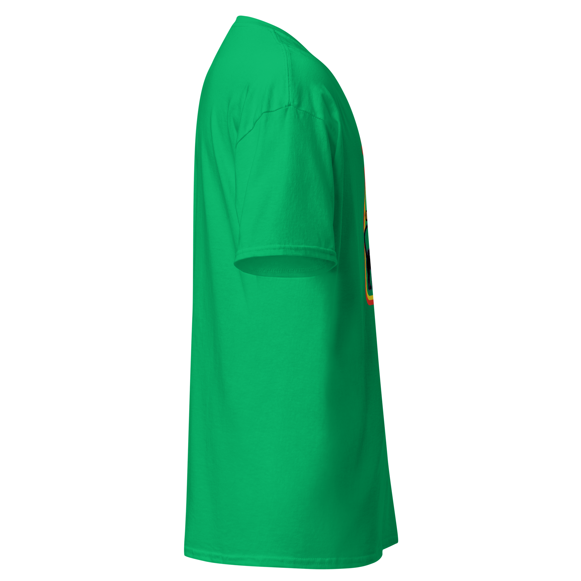 unisex-classic-tee-irish-green-right-6ab3240dd58cc.png