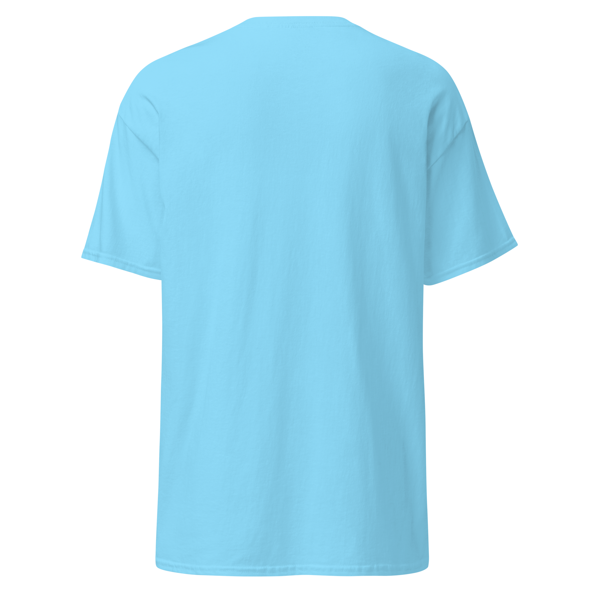 unisex-classic-tee-sky-back-6ab3256c34dbf.png