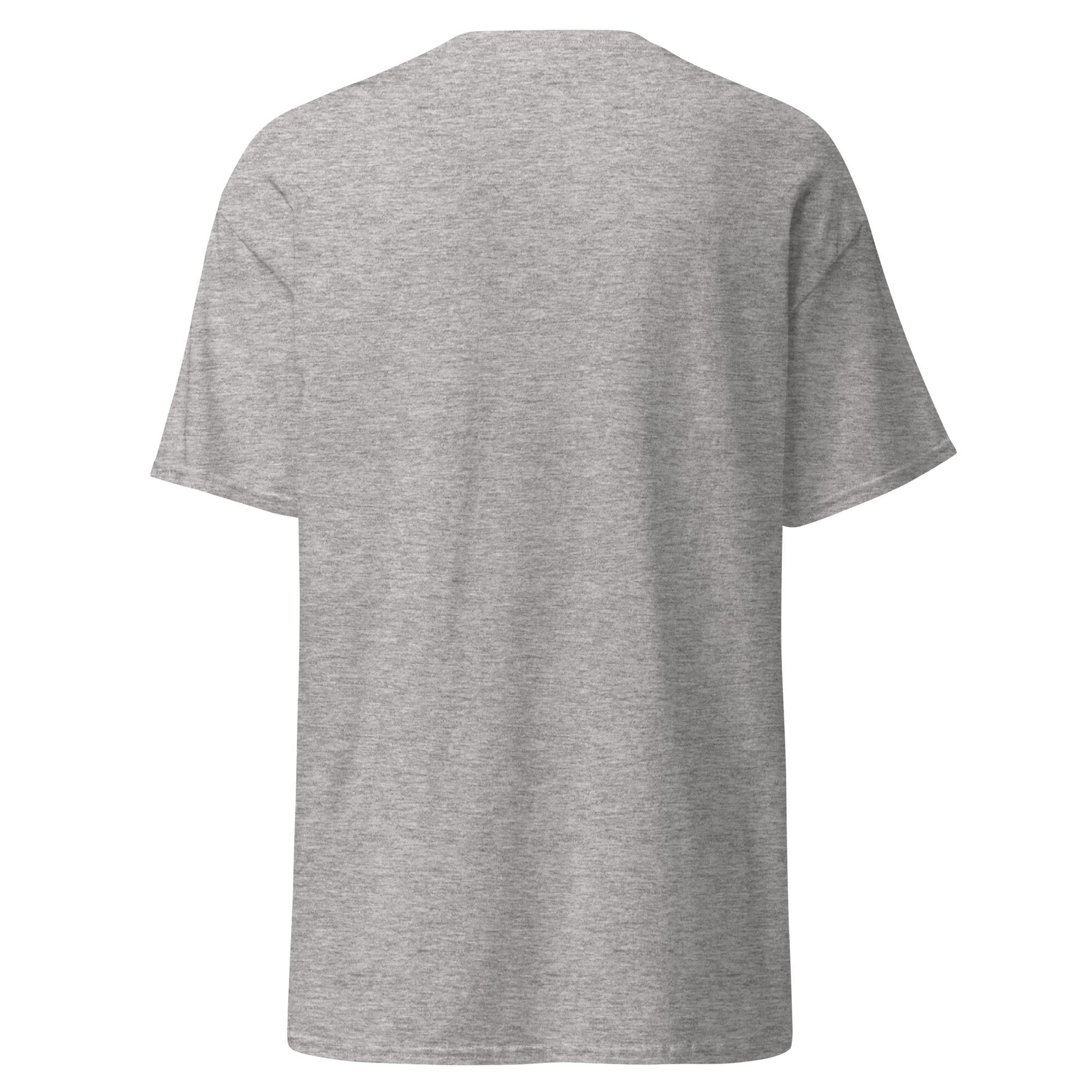 unisex-classic-tee-sport-grey-back-6ab3d8cd9ce34.png