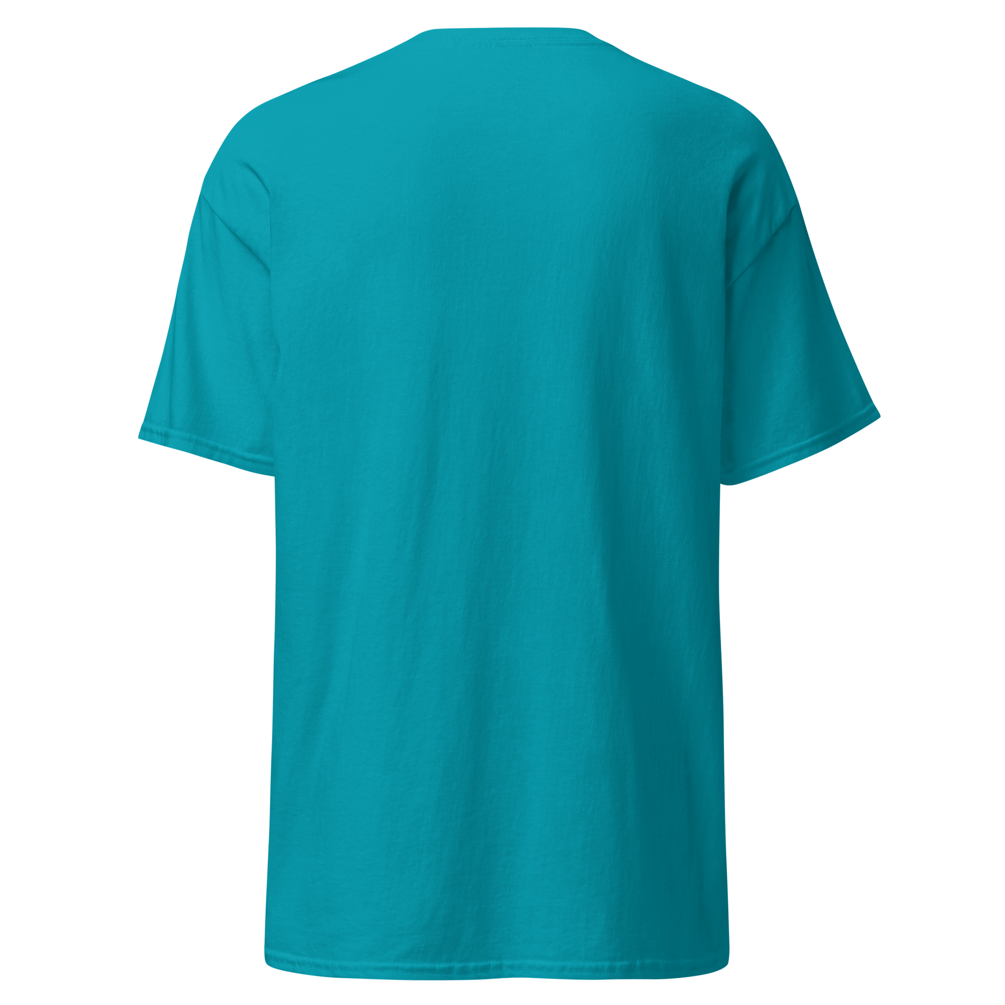 unisex-classic-tee-tropical-blue-back-6ab31bcd5a275.png