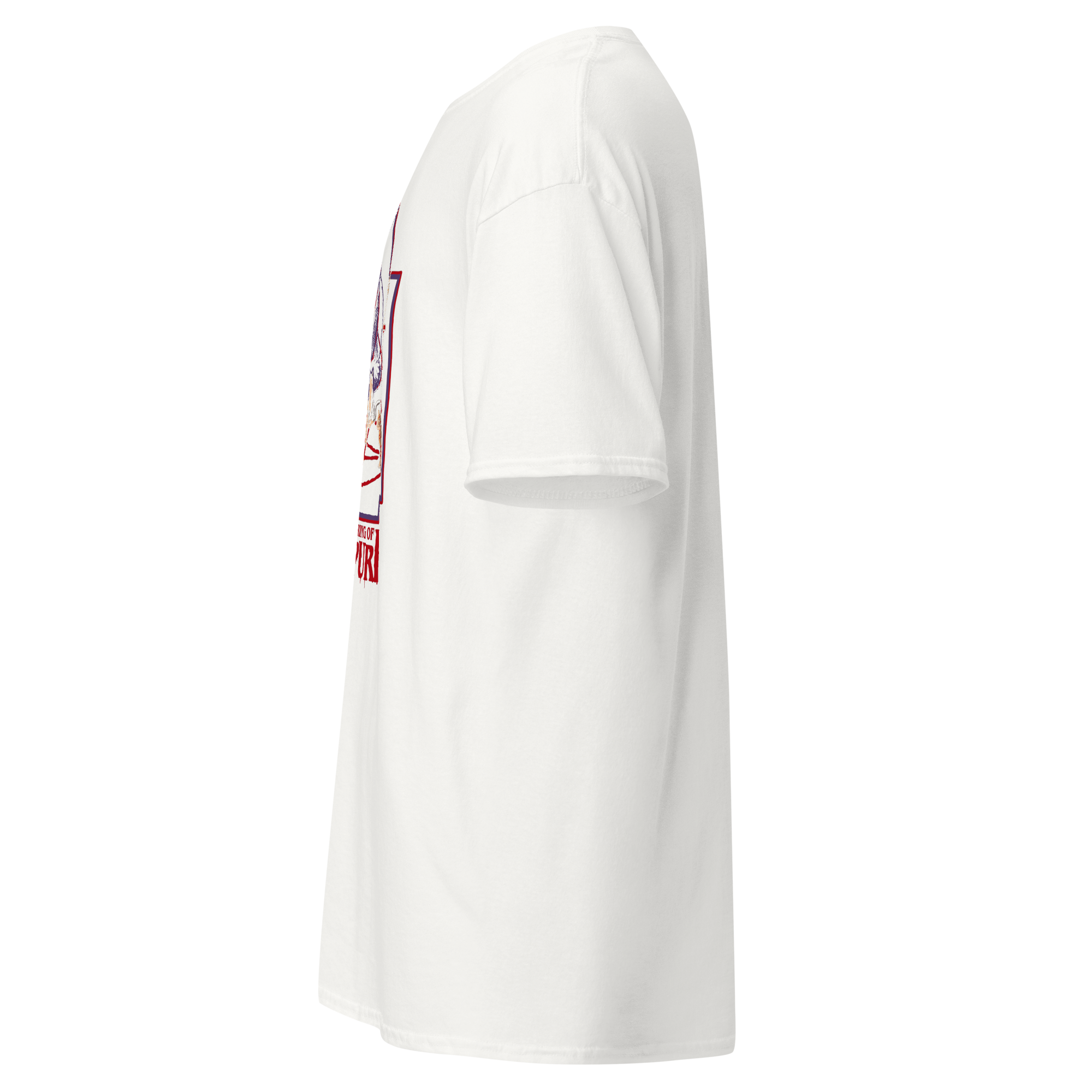 unisex-classic-tee-white-left-6ab32e93339a9.png